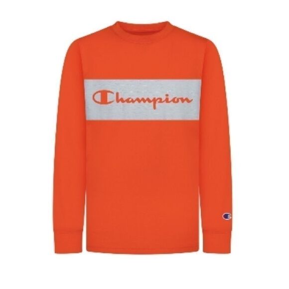 Bundle CARTER'S and champion 
Toddler Boys Dinosaur Fleece Pullover 2T - Picture 4 of 5